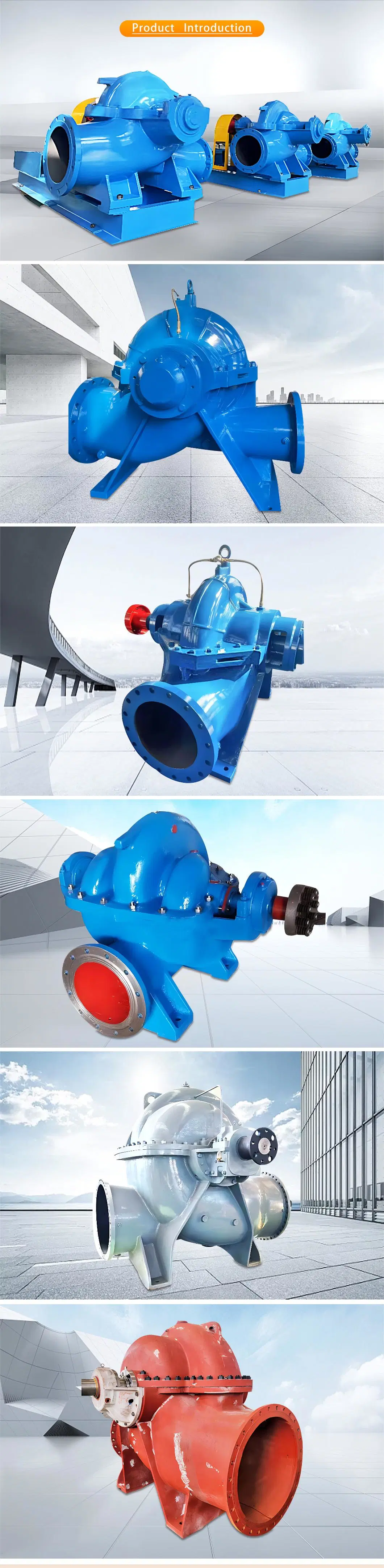 Oil-Free High-Capacity Double-Suction Pump for Water Recycling in Wastewater Treatment Plants