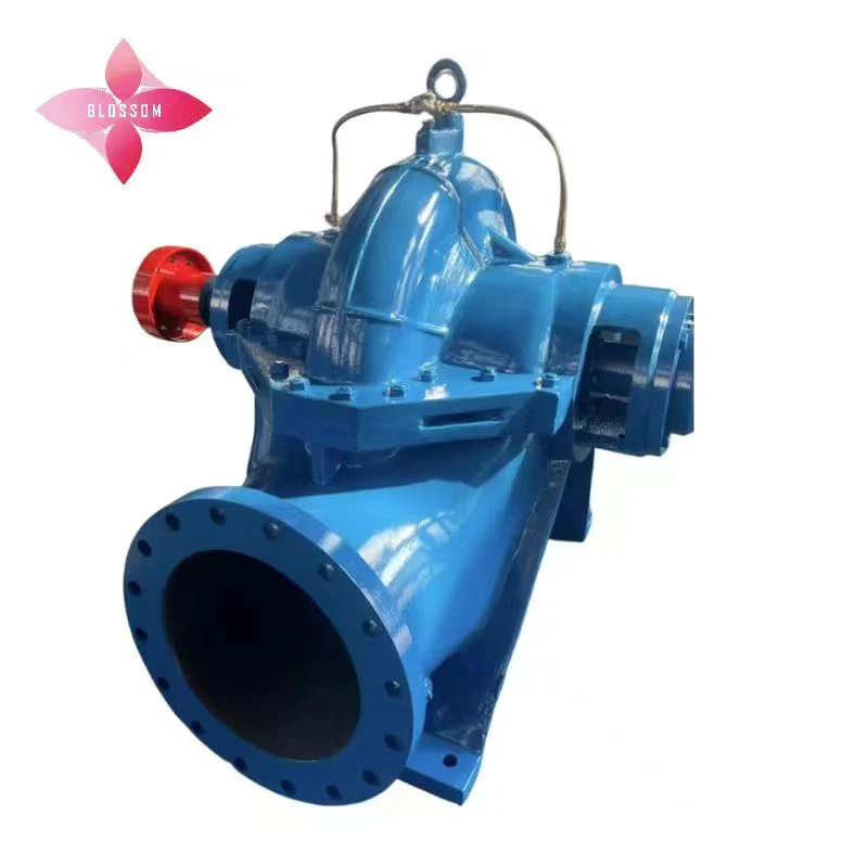 Oil-Free High-Capacity Double-Suction Pump for Water Recycling in Wastewater Treatment Plants