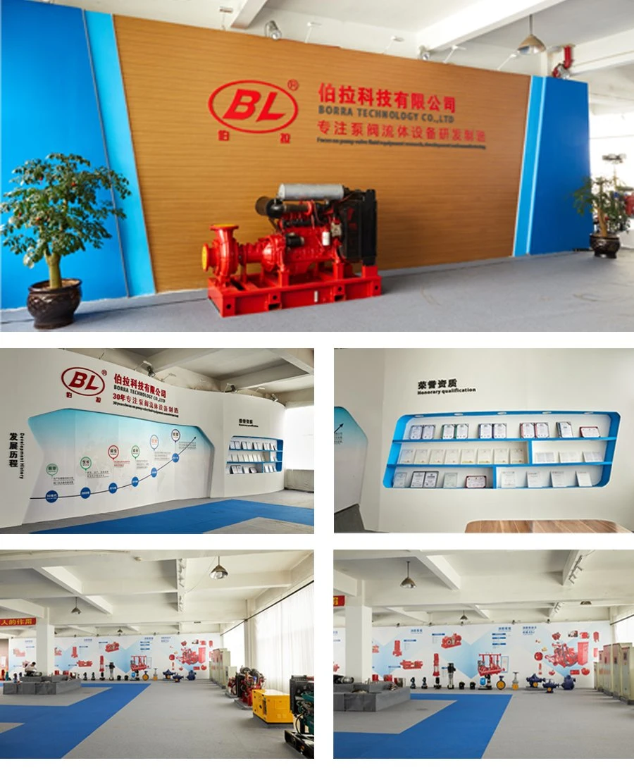 Zbf Self-Priming Plastic Magnetic Pump