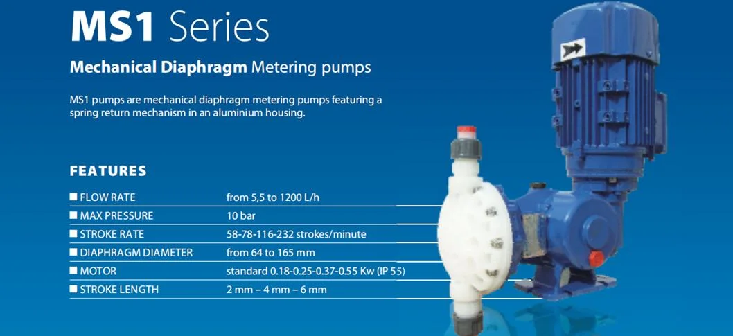 High Efficiency Seko Chemical Dosing Pump for Water Treatment System