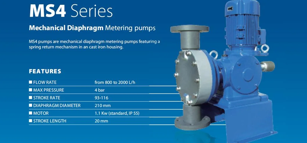 High Efficiency Seko Chemical Dosing Pump for Water Treatment System