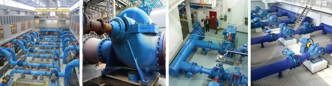 Oil-Free High-Capacity Double-Suction Pump for Water Recycling in Wastewater Treatment Plants