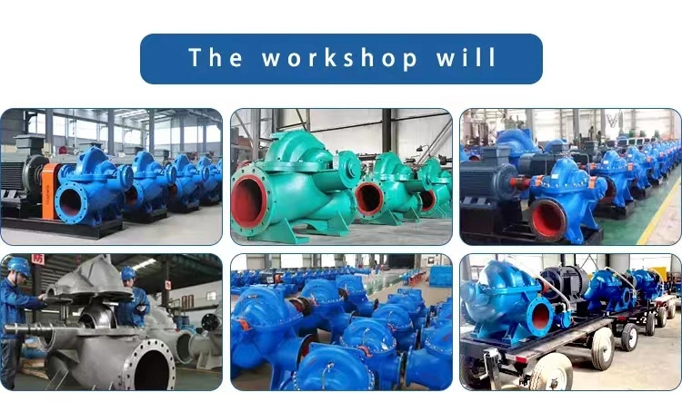 Oil-Free High-Capacity Double-Suction Pump for Water Recycling in Wastewater Treatment Plants