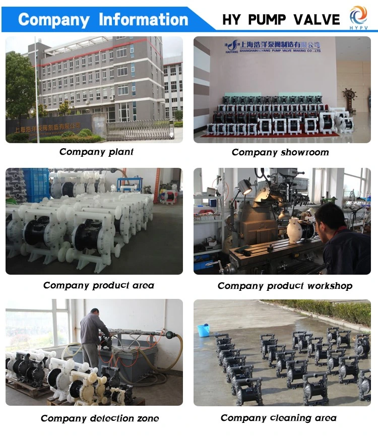 Pneumatic Coating Industry Solvent Transfer Diaphragm Pump