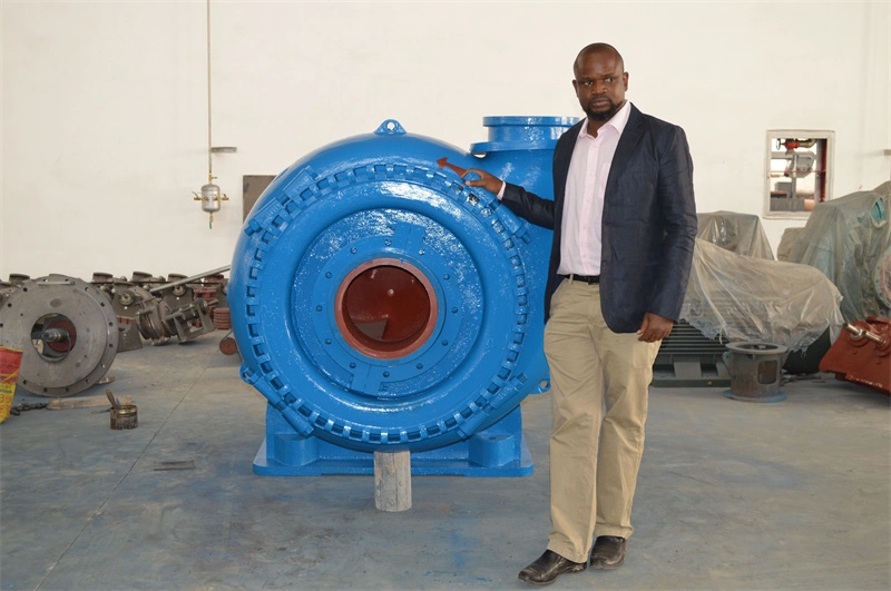 Corrosion Resistant Cantilevered Centrifugal Slurry Pump Low Flow Slurry Pump Chinese Slurry Pump Manufacturer