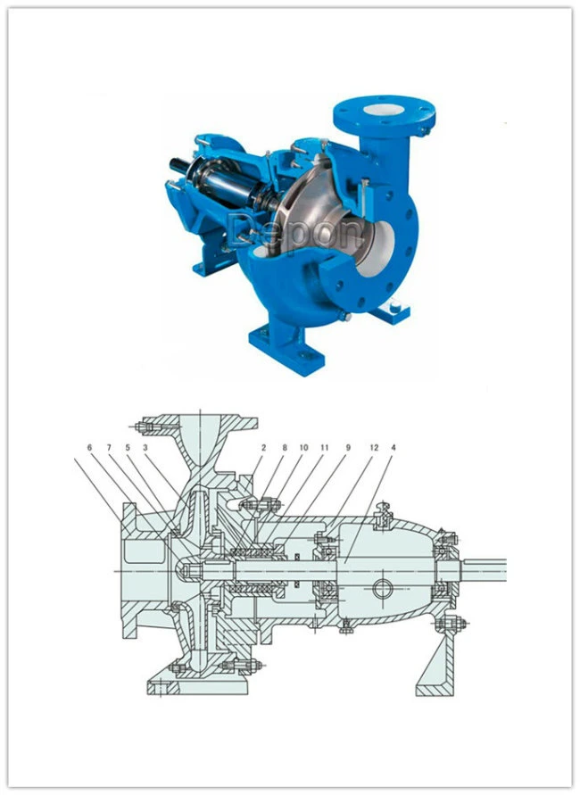 Basic Customization Industrial Three Phase Electric Rnd Suction Water Pump Liquid Transfer