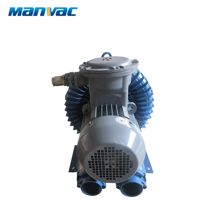 Explosion-Proof Electric Machine Atex Motor Ring Blower High Pressure Pump for Chemical Industry