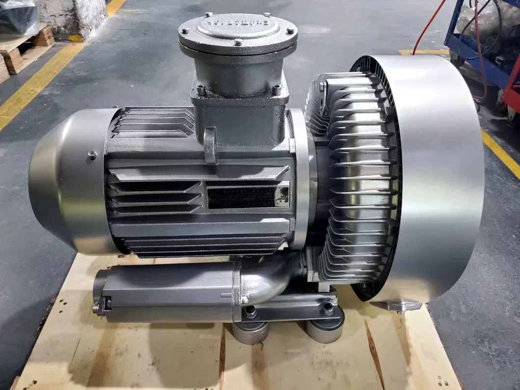 Explosion-Proof Electric Machine Atex Motor Ring Blower High Pressure Pump for Chemical Industry