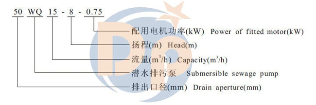 High Pressure Centrifugal Sewage Pump for Dirty and Waste Water Treatment