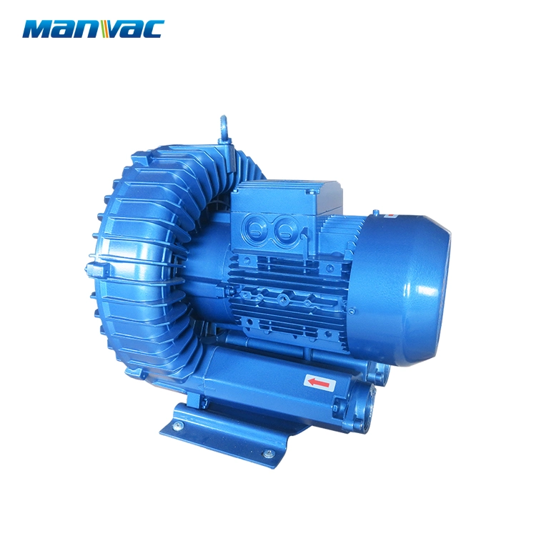 Explosion-Proof Electric Machine Atex Motor Ring Blower High Pressure Pump for Chemical Industry