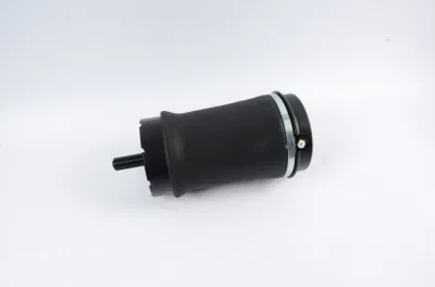 2002-2010 Range Rover Rear Air Spring for Land Rover Auto Parts