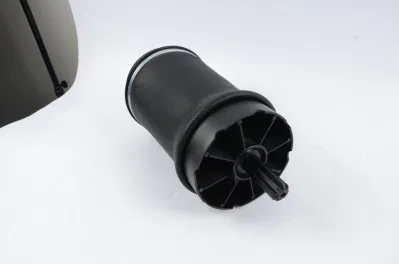 2002-2010 Range Rover Rear Air Spring for Land Rover Auto Parts