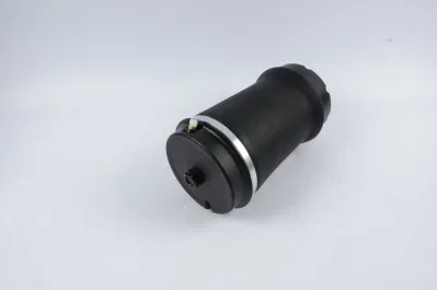 2002-2010 Range Rover Rear Air Spring for Land Rover Auto Parts