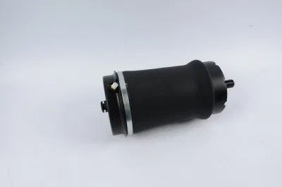 2002-2010 Range Rover Rear Air Spring for Land Rover Auto Parts