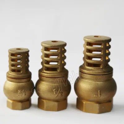 Brass Foot Valve Hot Sale Product China Manufacturer Brass Valve Thread Check Valve Company OEM/ODM Wholesale Brass Foot Valve