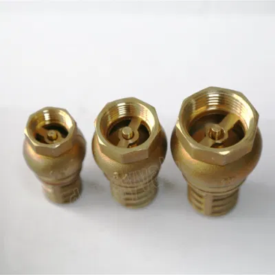 Brass Foot Valve Hot Sale Product China Manufacturer Brass Valve Thread Check Valve Company OEM/ODM Wholesale Brass Foot Valve