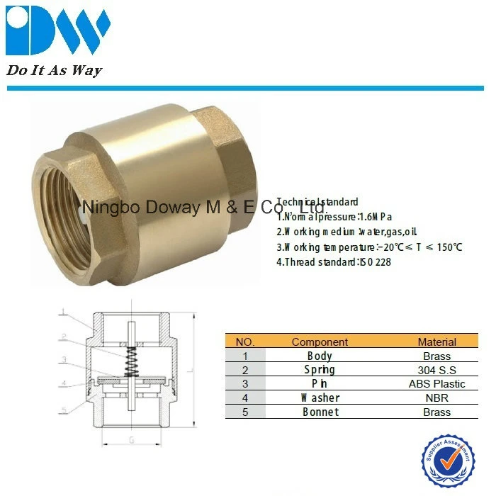 Forged Brass Non Return Spring Check Valve Inline Plasted in Polymer