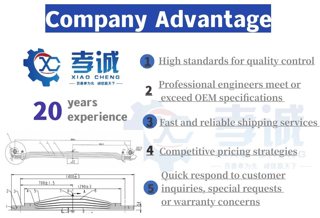 OEM Suspension System Single Axle Trailer Custom Small Leaf Spring