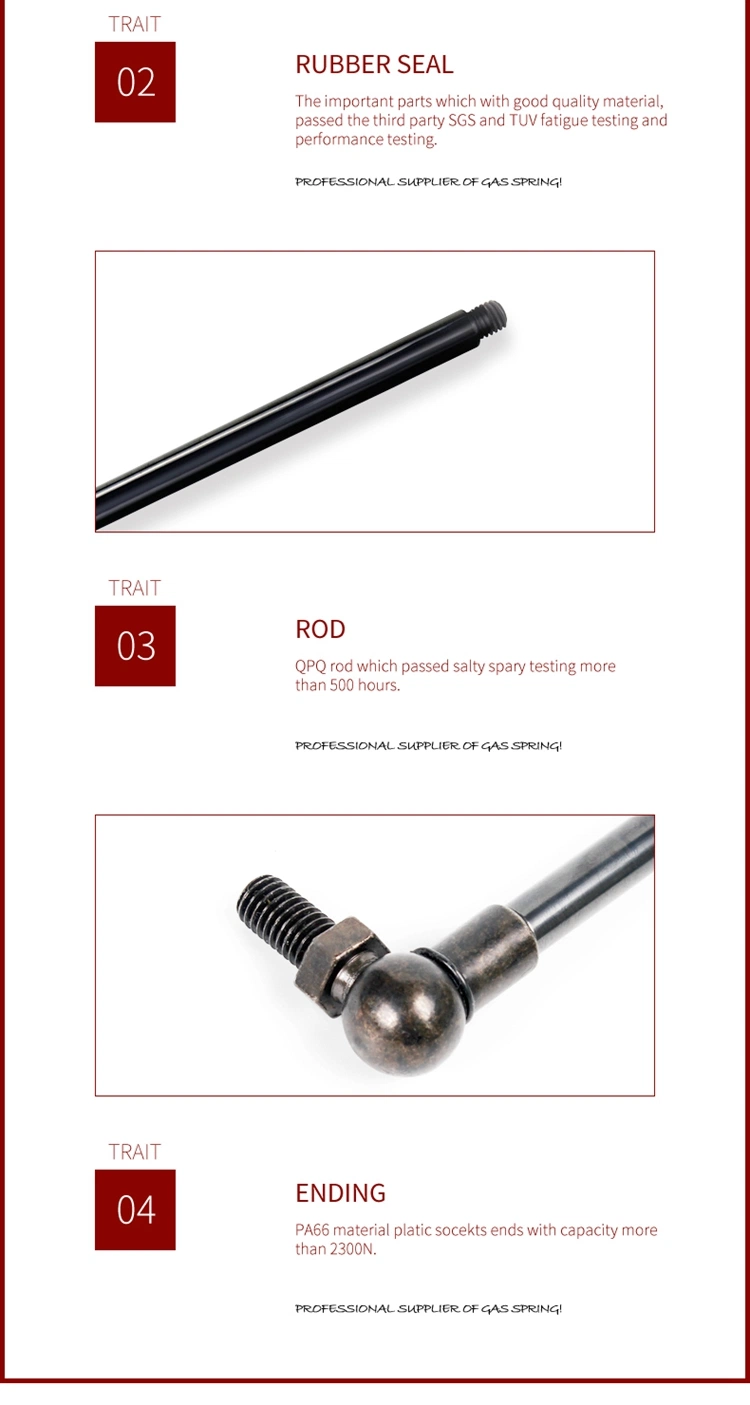 Different Kinds of Gas Spring Gas Pump for Equipment