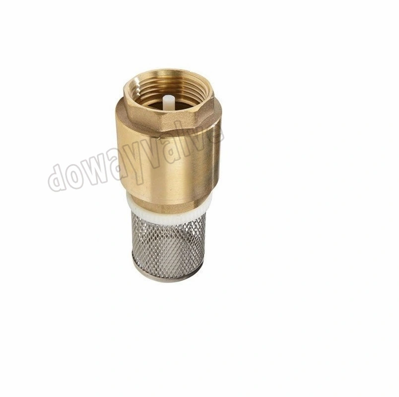 China Factory Custom Forged Brass Spring Check Valve with Filter