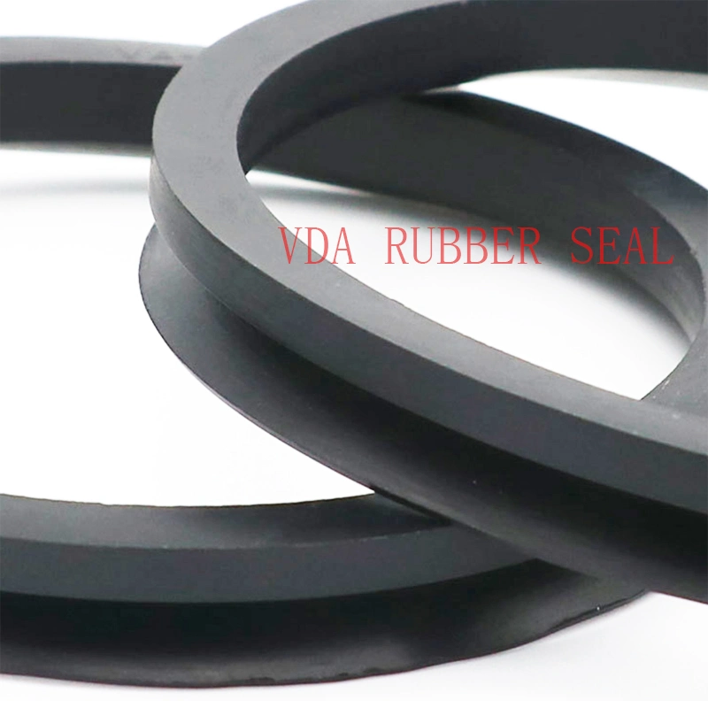 Rotary Speed NBR Rubber Oil Seal with Dustproof for Automotive Transmission