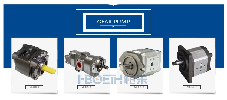 Hydraulic Pump Motor Rexroth Eaton Vickers Parker NACHI Kawasaki Cat Linde Sauer Yuken Gear Pump Vane Volvo Excavator Kyb Hawe Atos