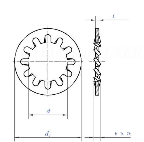 Manufacturer DIN6797 67978 External Internal Serrated Toothed Lock Washers Spring Steel Zinc