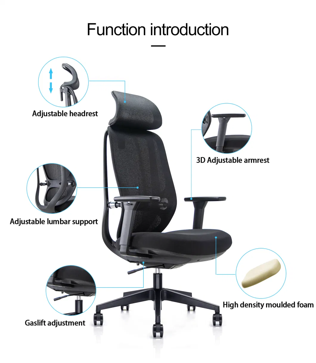 Double Plasitc Back Pad Elegant Back Design Special Design MID Back Spring Tention Adjustment Waist Support Staff Worker chair Modeled Foam