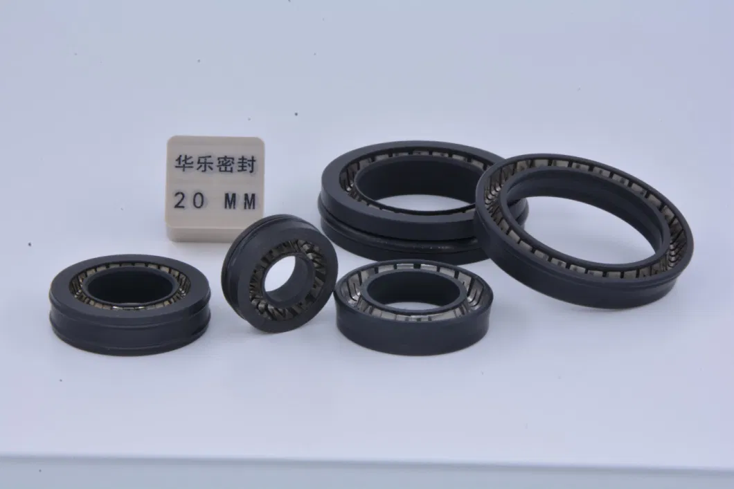 Trelleborg Turcon Variseal Spring Energized Seal for Dosing Pump