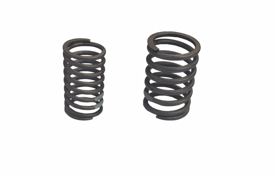 Laidong Good Quality Diesel Engine Part Valve Outer &amp; Inner Spring Supplier