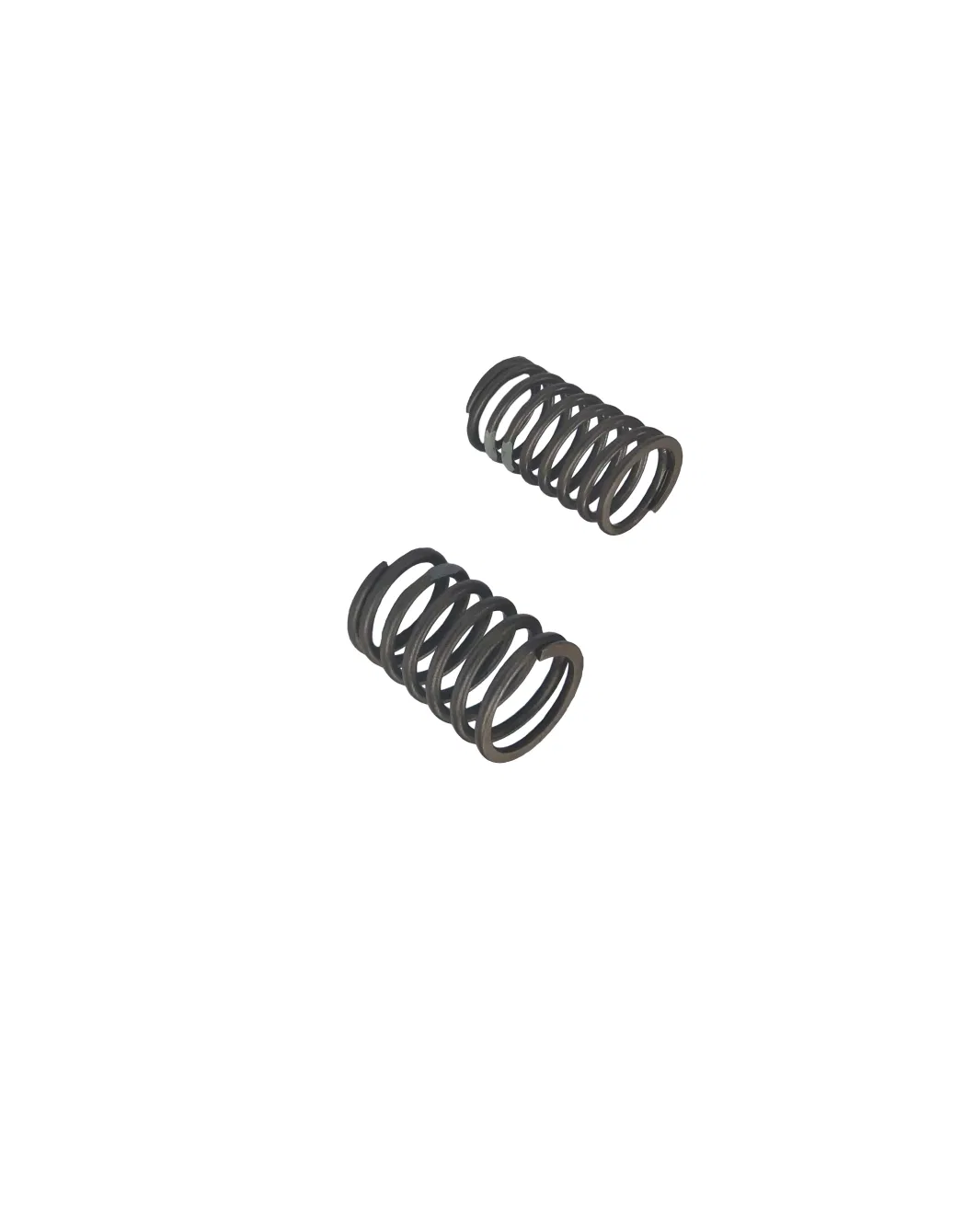 Laidong Good Quality Diesel Engine Part Valve Outer &amp; Inner Spring Supplier