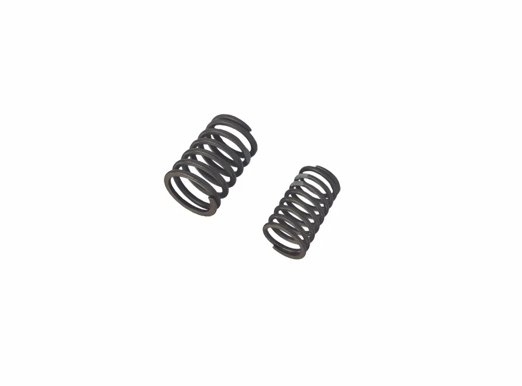 Laidong Good Quality Diesel Engine Part Valve Outer &amp; Inner Spring Supplier