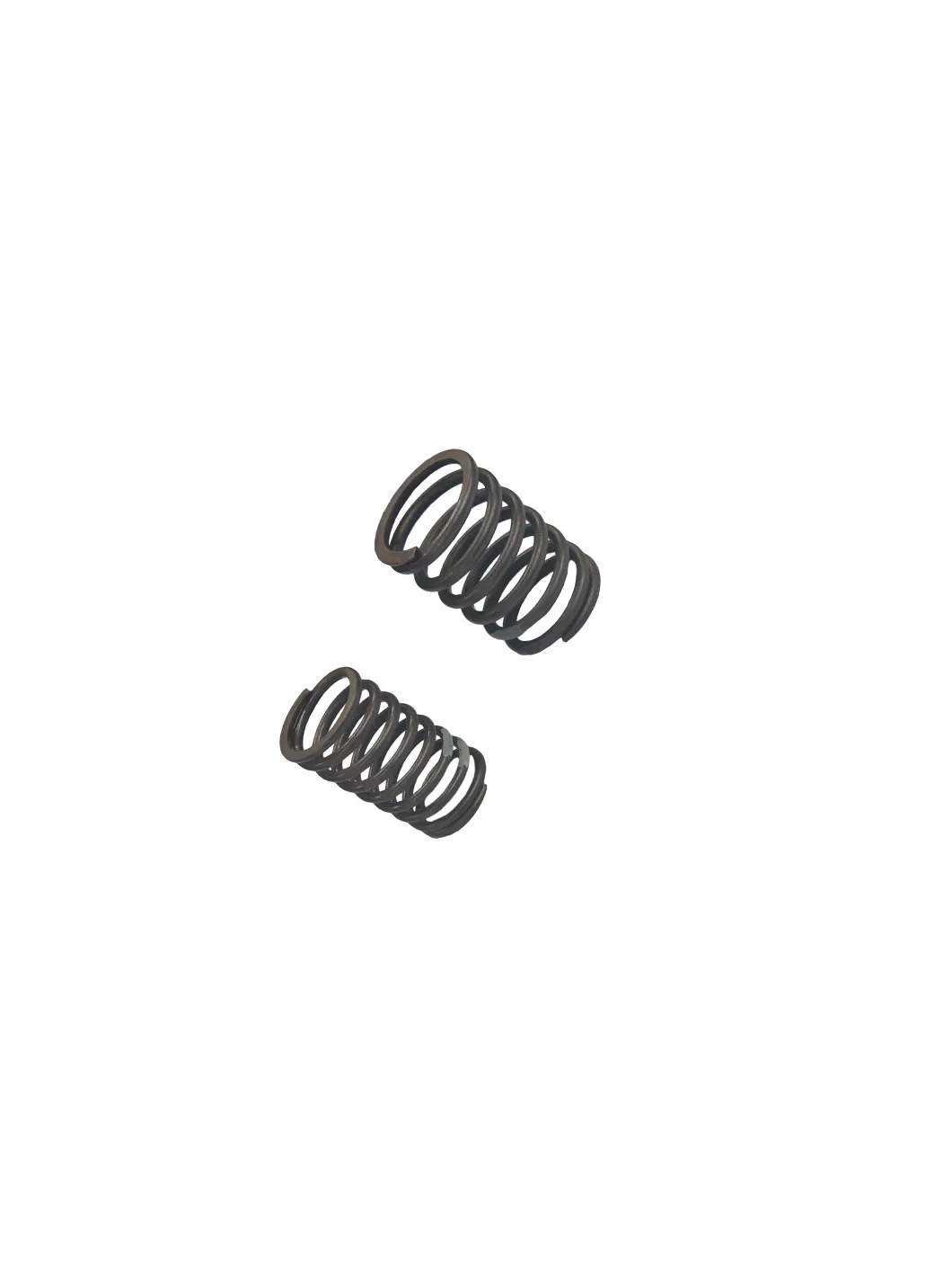 Laidong Good Quality Diesel Engine Part Valve Outer &amp; Inner Spring Supplier