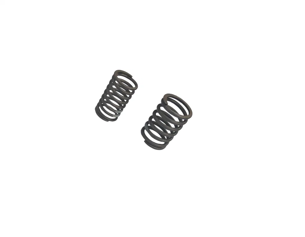 Laidong Good Quality Diesel Engine Part Valve Outer &amp; Inner Spring Supplier