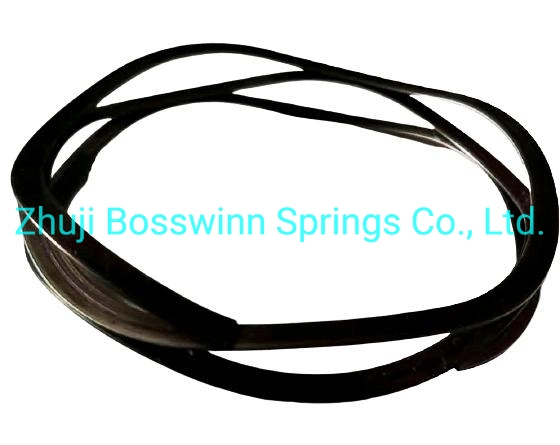 Multy-Turn Wave Spring with Shim Ends Disc Washer Spring