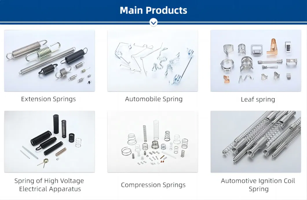 Customized Double Torsion Springs with High Quantity