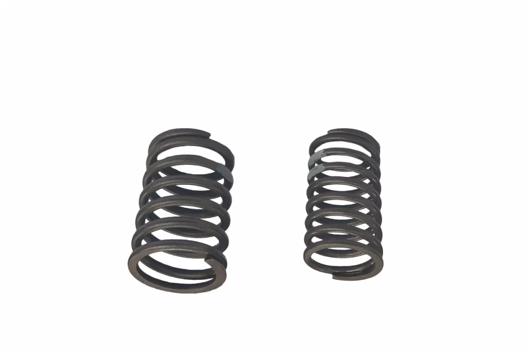 Laidong Good Quality Diesel Engine Part Valve Outer &amp; Inner Spring Supplier