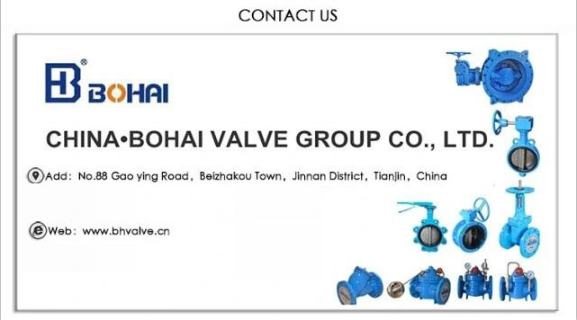 Dual Plant Check Valve with Ductile Iron or Strainless Steel Plant Industrial Contral