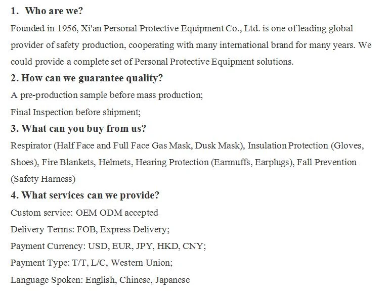 Respirator Protection En140 Chemical Gas Mask