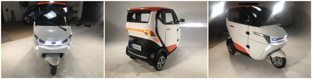 Mini Type Three Wheel Pure Electric Car with Hydraulic Disc Brake Type