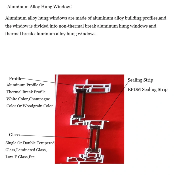 Double Hung Windows Lifetime Warranty Aluminum Alloy Frame Double Hung