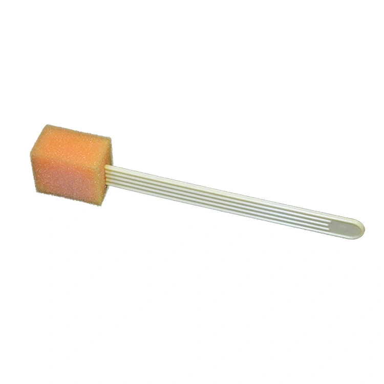 Instrument Brush Cleaning Sponge Brush with Stick