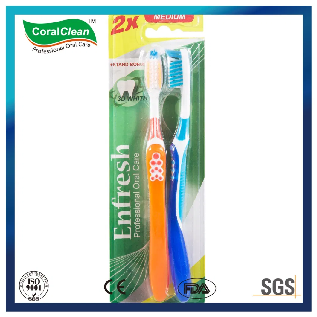 Three Components Toothbrush Home Use Toothbrushes