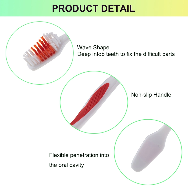 Transparent Handle Toothbrush, Adult Toothbrush, Tooth Brushes