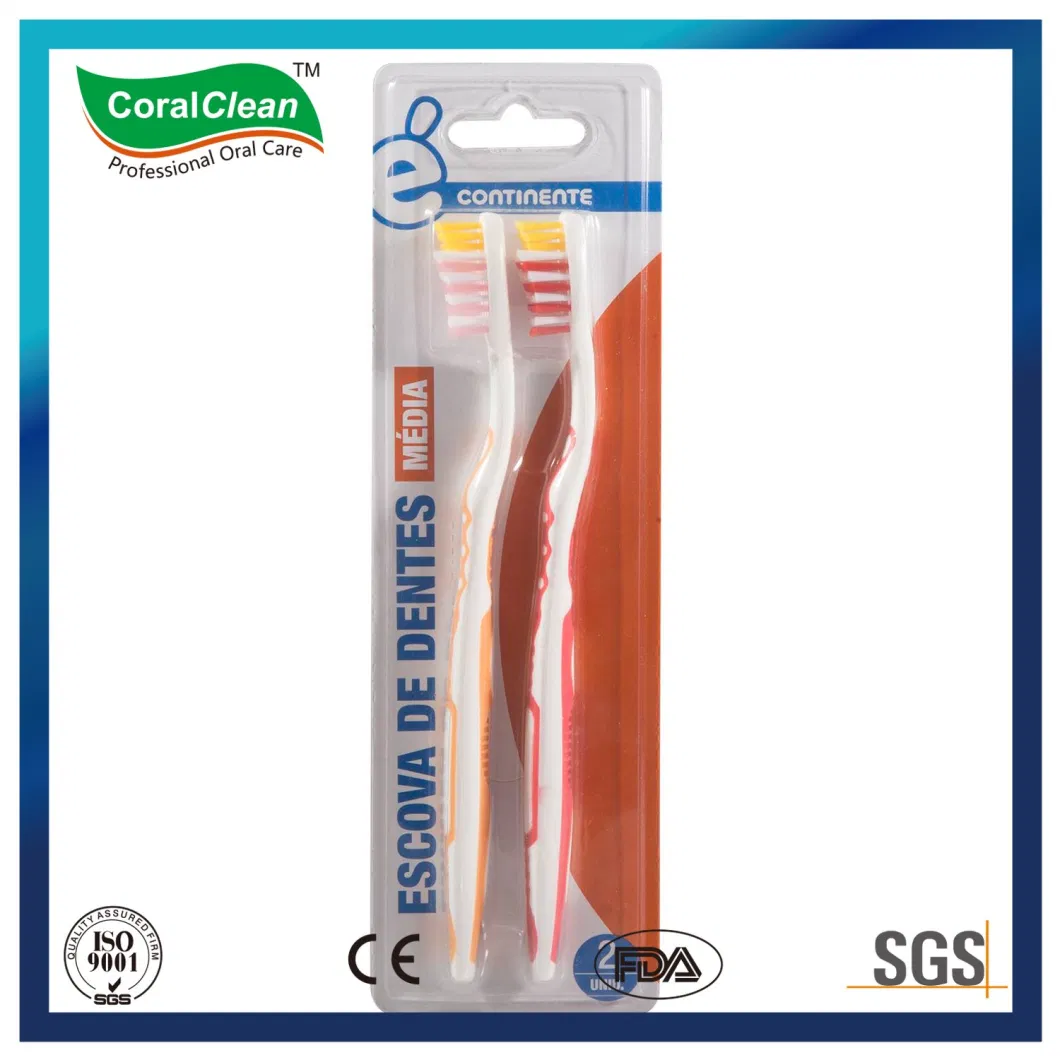 Hot Sale Colorful Adult Toothbrush