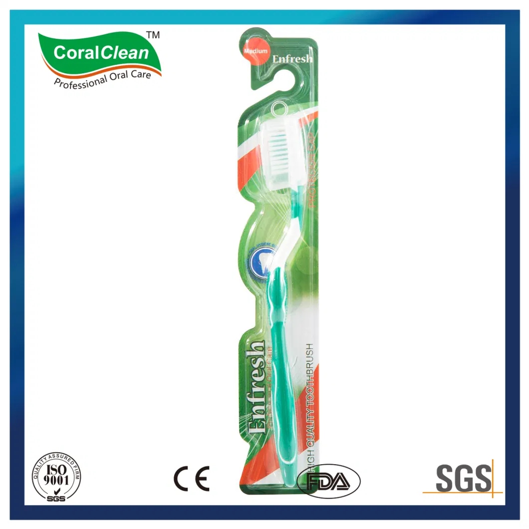 Three Components Toothbrush Home Use Toothbrushes