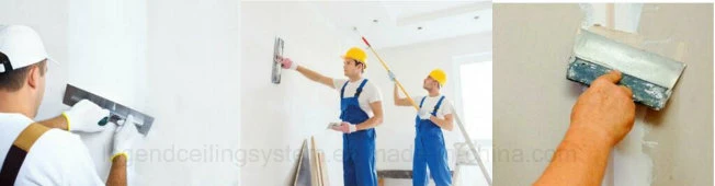 Interior Skimming Wall Putty/Pre-Mixed Joint Compound Powder