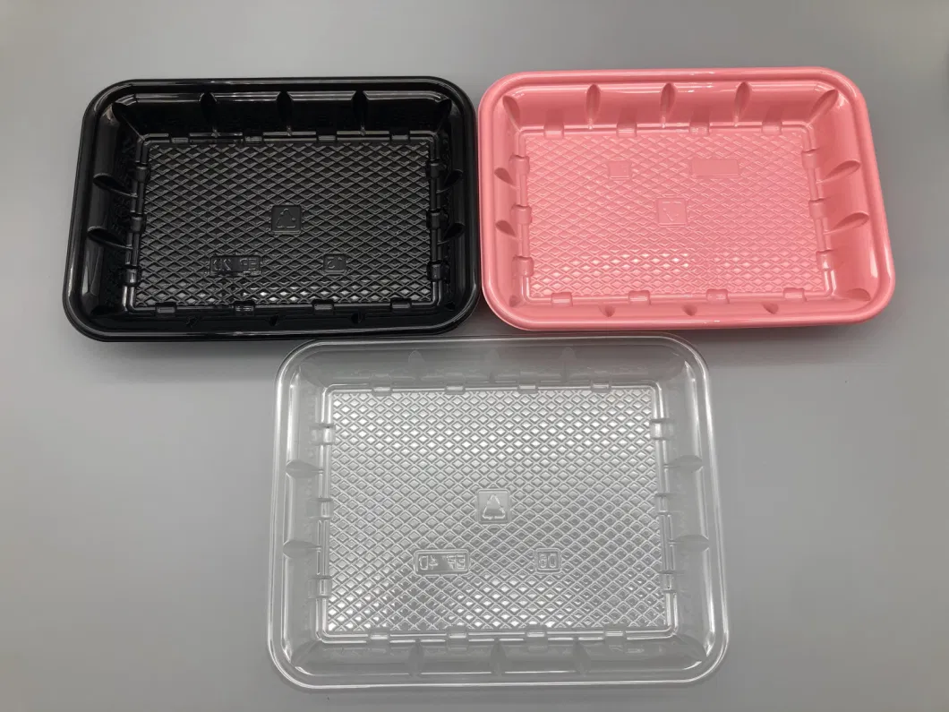 China Eco Friendly Disposable Fruit Meat Vegetable Packaging Blister Square PP Plastic Food Tray for Supermarket