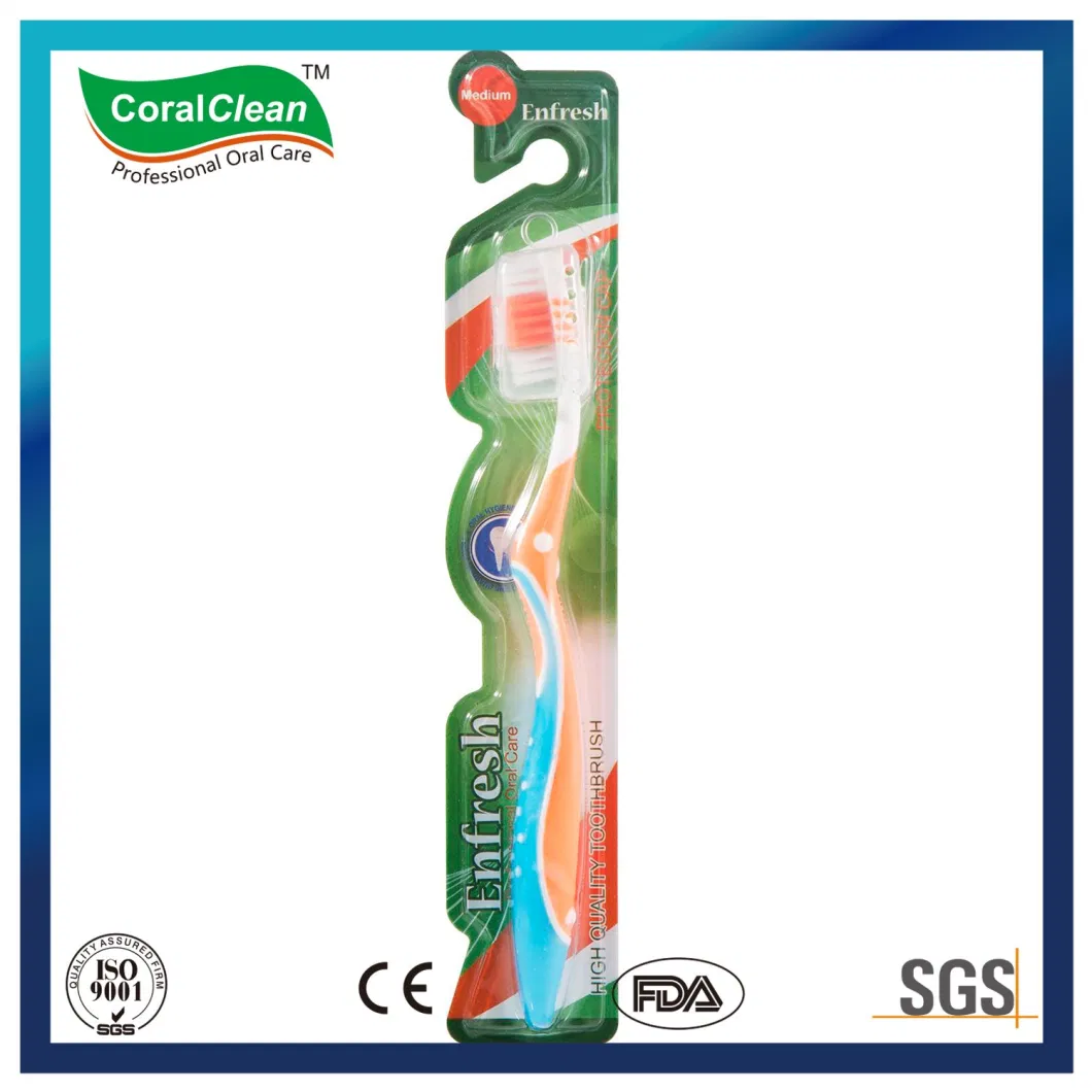 Three Components Toothbrush Home Use Toothbrushes