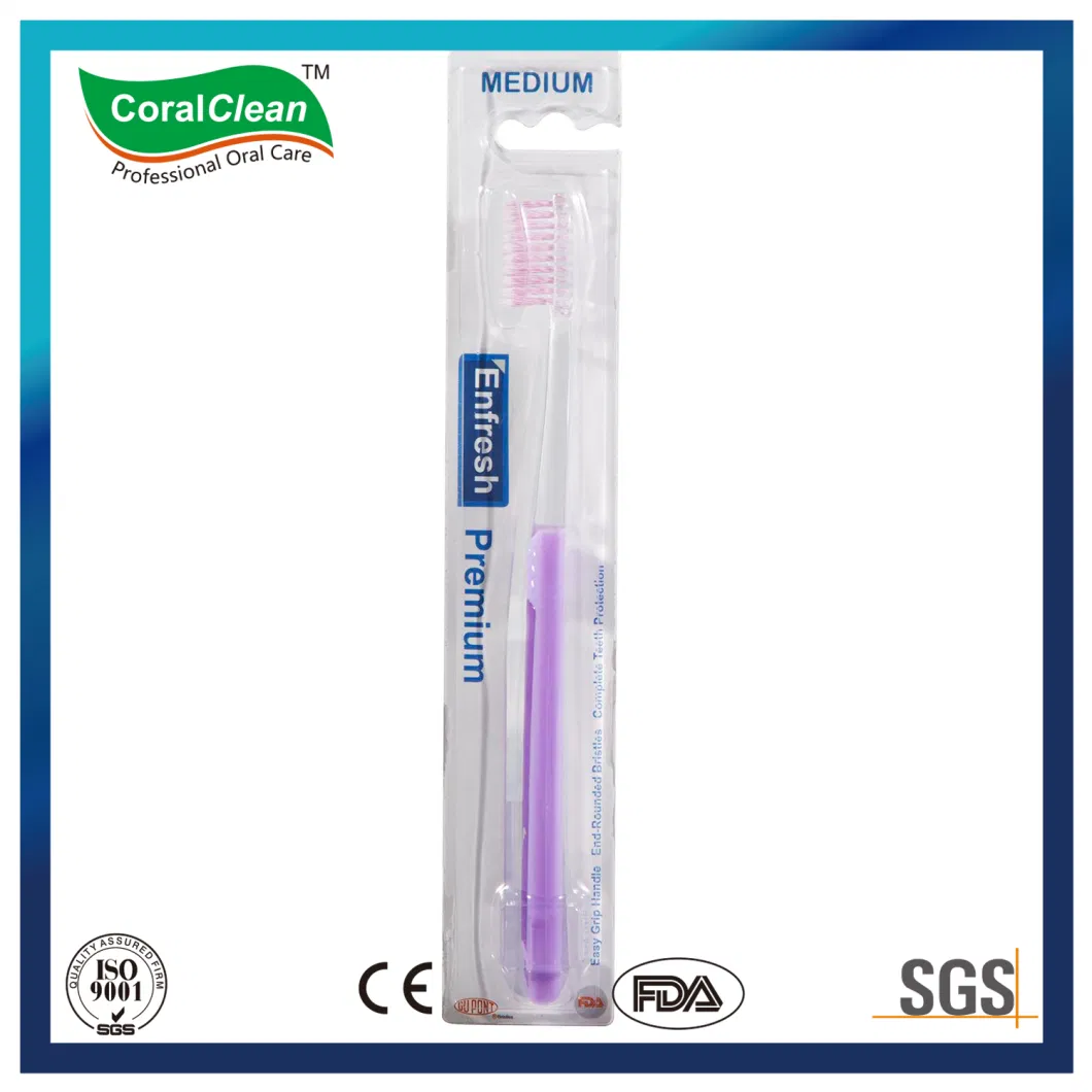 Big Handle Toothbrush Soft Nylon Bristle Toothbrush